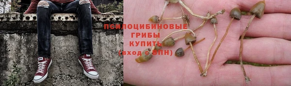ПСИЛОЦИБИНОВЫЕ ГРИБЫ Белоозёрский