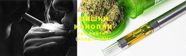 ПСИЛОЦИБИНОВЫЕ ГРИБЫ Белоозёрский