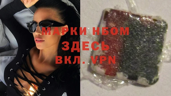 ПСИЛОЦИБИНОВЫЕ ГРИБЫ Белоозёрский