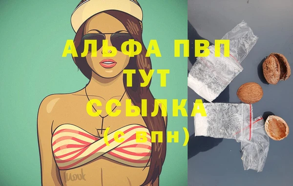 ПСИЛОЦИБИНОВЫЕ ГРИБЫ Белоозёрский