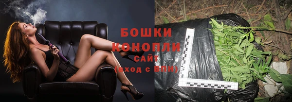 ПСИЛОЦИБИНОВЫЕ ГРИБЫ Белоозёрский