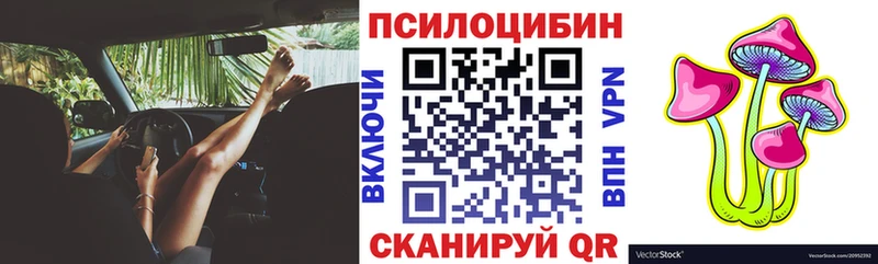 Галлюциногенные грибы Psilocybe  Петрозаводск 